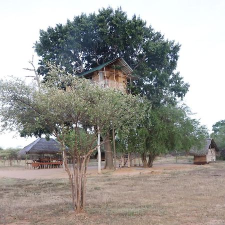 Yala Dream Park Ξενοδοχείο Εξωτερικό φωτογραφία