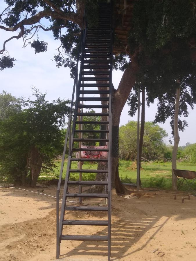 Yala Dream Park Ξενοδοχείο Εξωτερικό φωτογραφία
