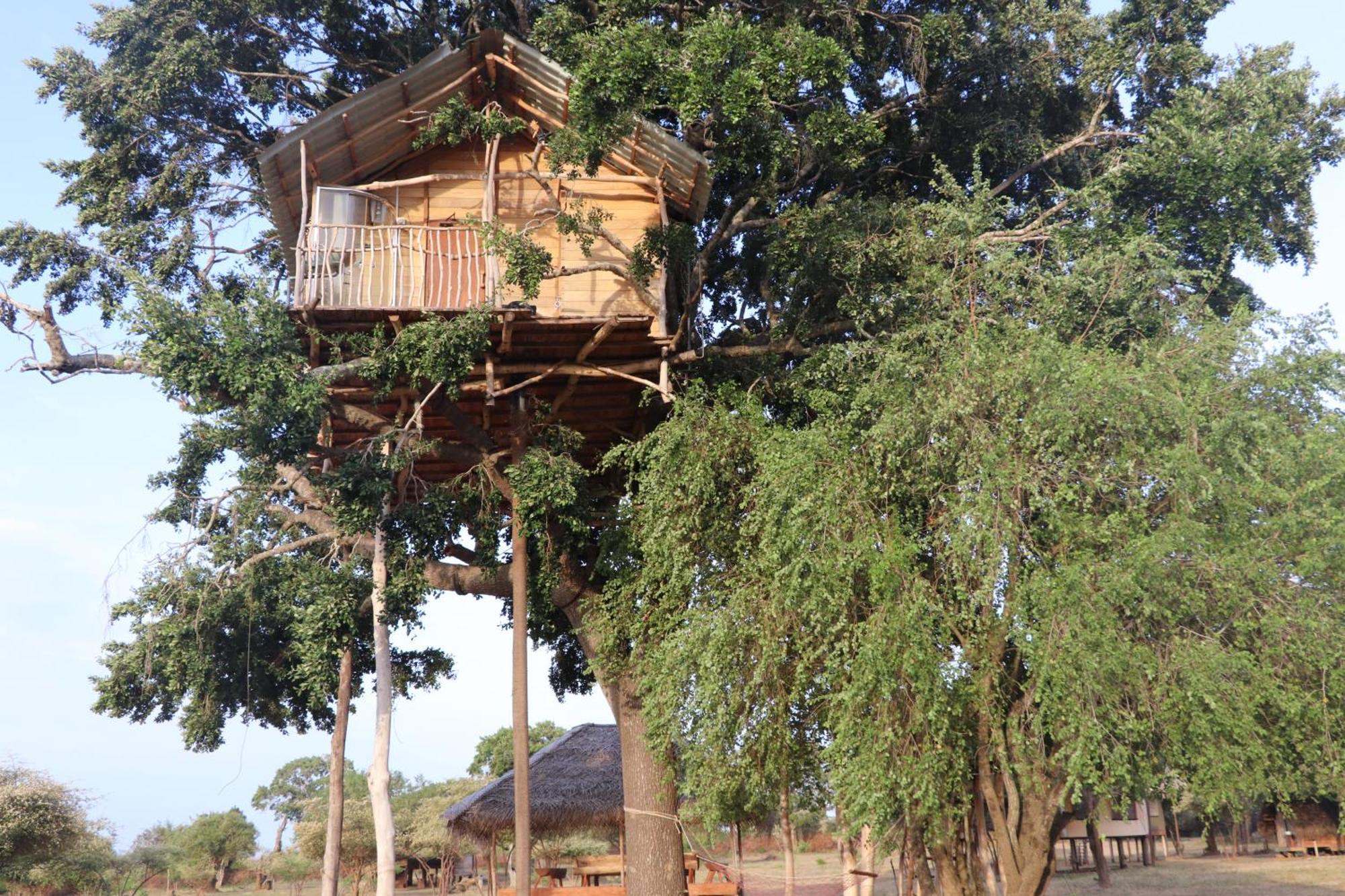 Yala Dream Park Ξενοδοχείο Εξωτερικό φωτογραφία