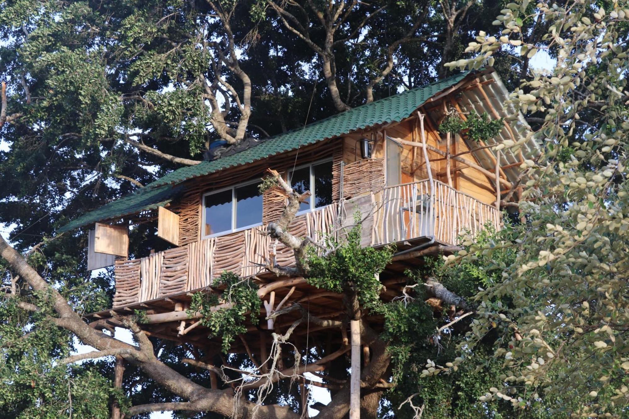 Yala Dream Park Ξενοδοχείο Εξωτερικό φωτογραφία