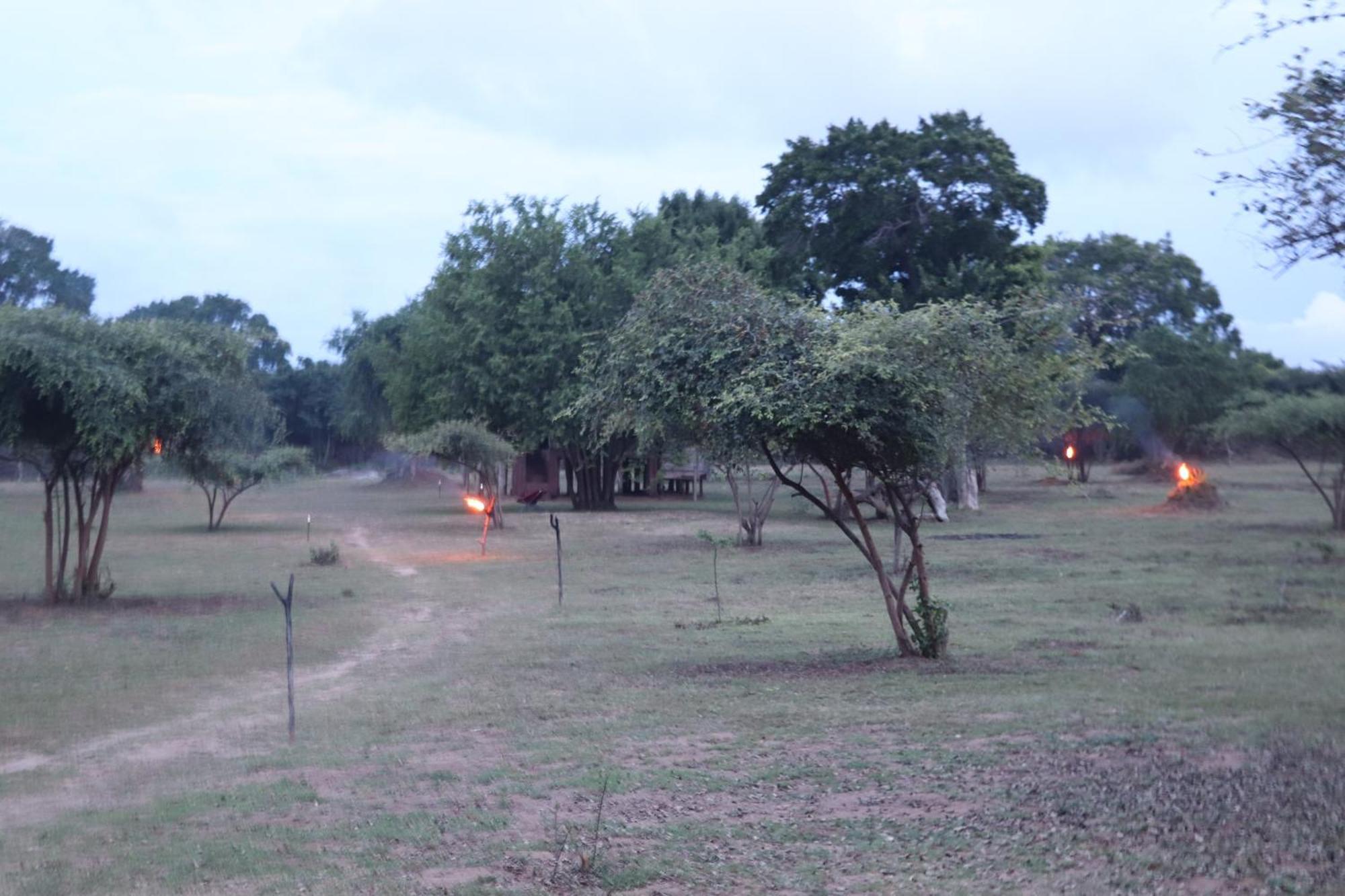 Yala Dream Park Ξενοδοχείο Εξωτερικό φωτογραφία