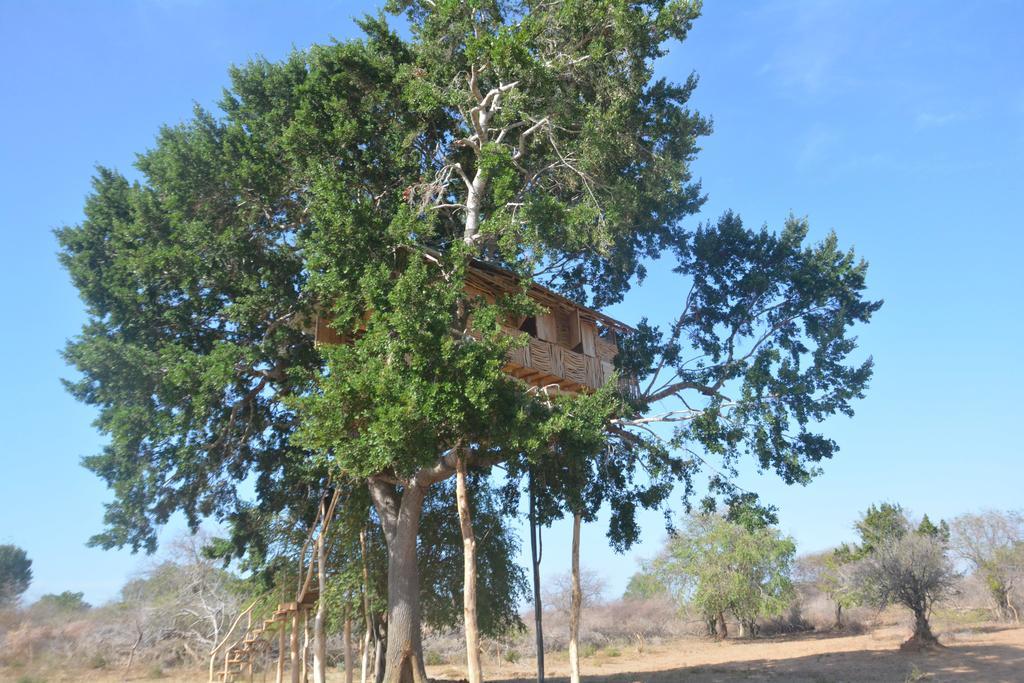 Yala Dream Park Ξενοδοχείο Εξωτερικό φωτογραφία