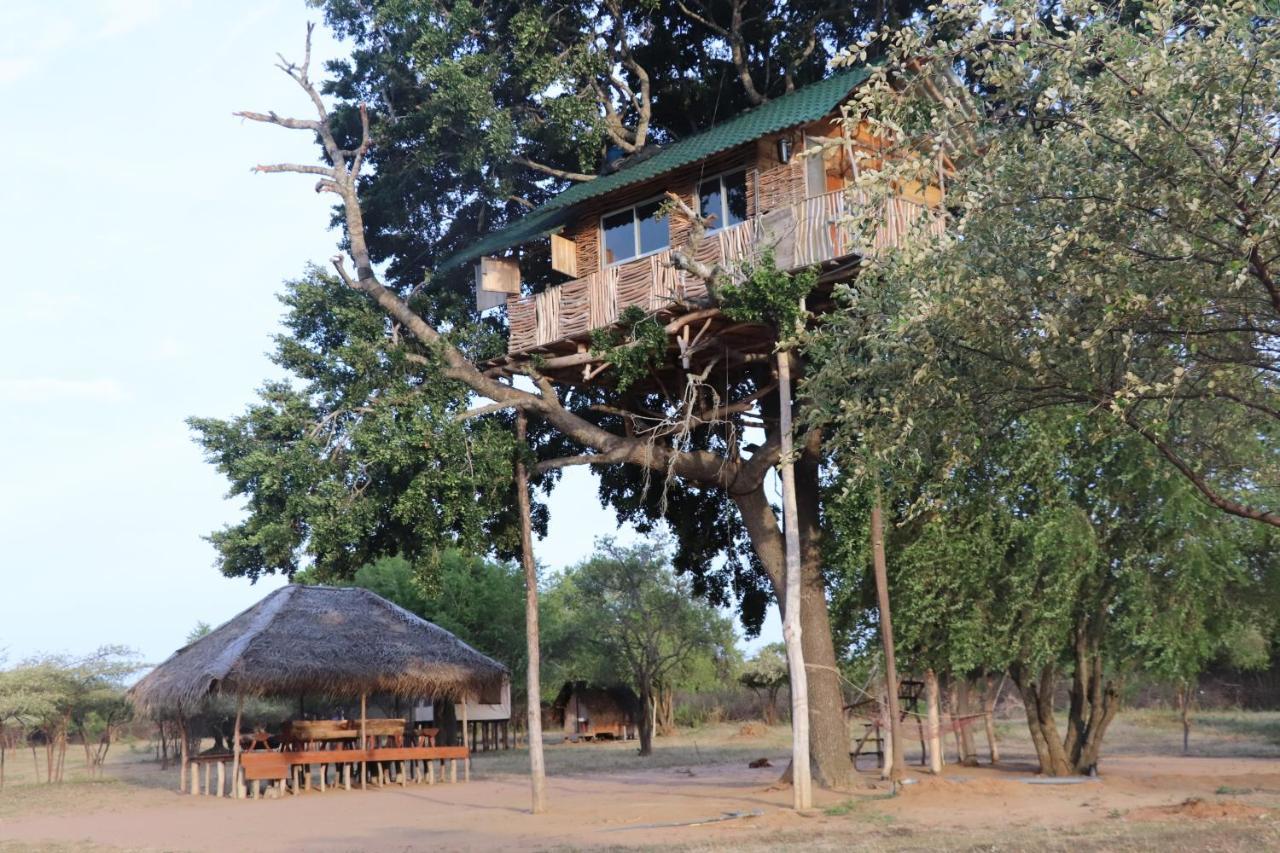 Yala Dream Park Ξενοδοχείο Εξωτερικό φωτογραφία