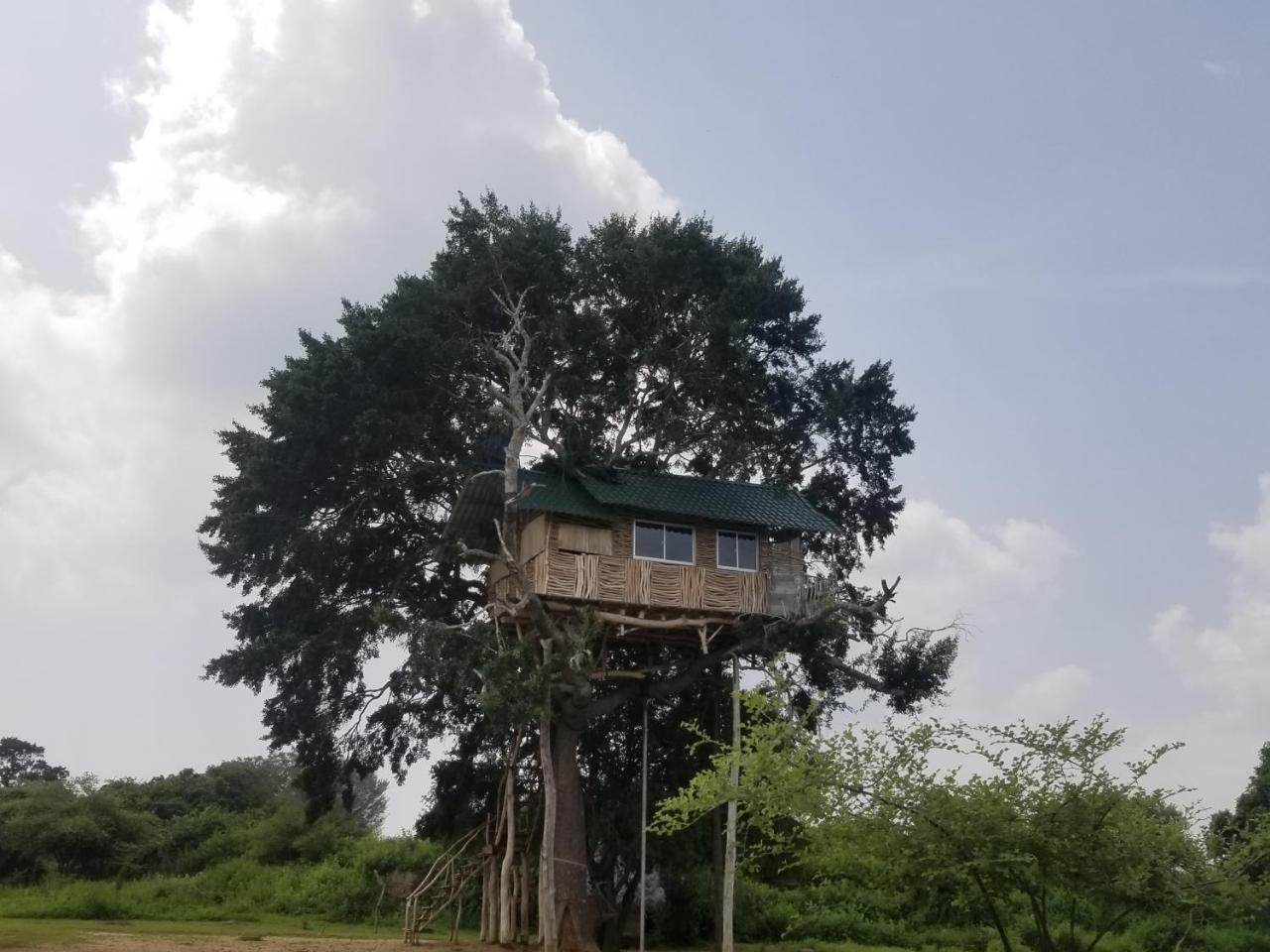 Yala Dream Park Ξενοδοχείο Εξωτερικό φωτογραφία